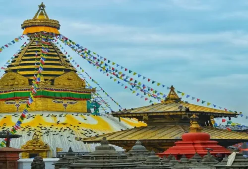 LFNbN503H1Vvoh7rZWuevwHRN7hGySTwArwYkjRq