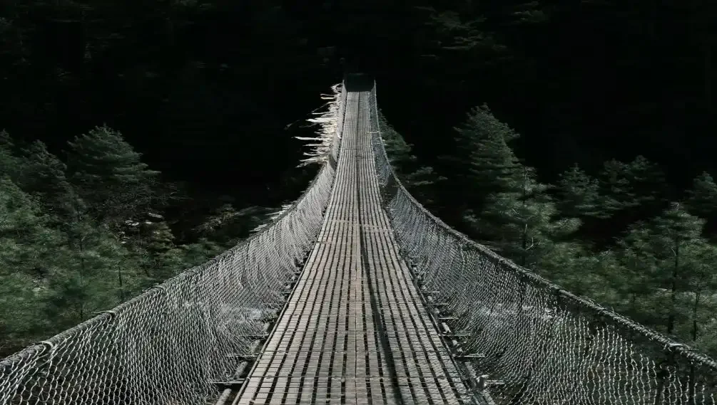 T6v2Qm9g5qveJJuwCZRGnNribPkbqCpV8xx0zaV7