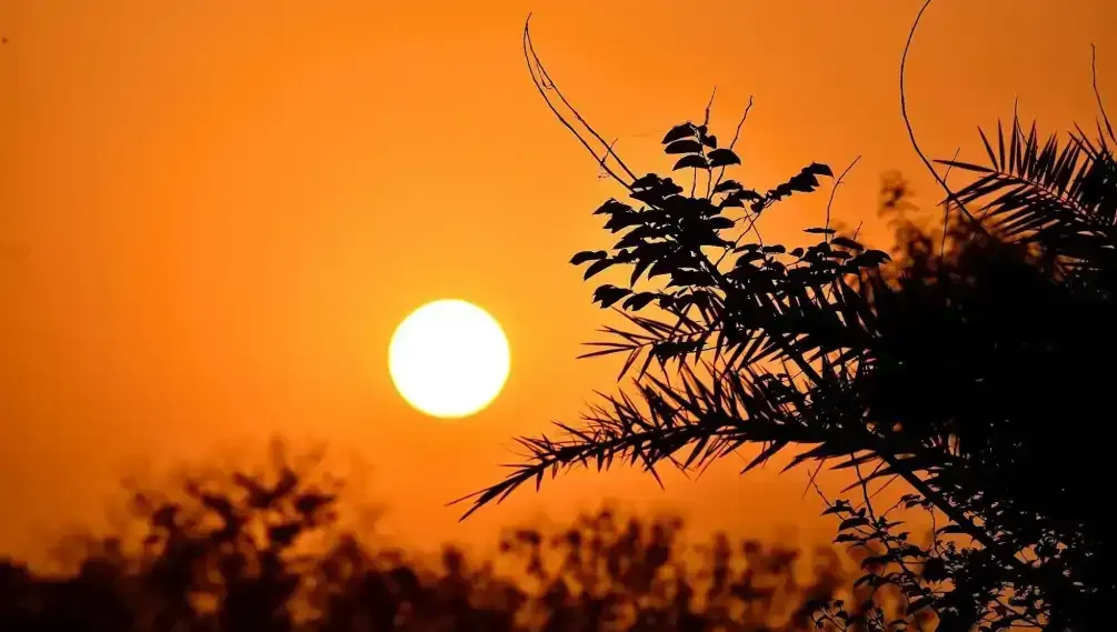 zWui6RIbPSG7lSvqjzZF1TPDwzzye2efW1a90sEX