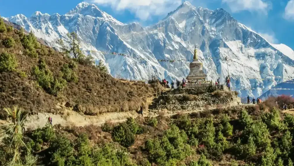 chDcPr3PJT4d0hZo55eSUSsUafWUNgLpz2HgsfTX