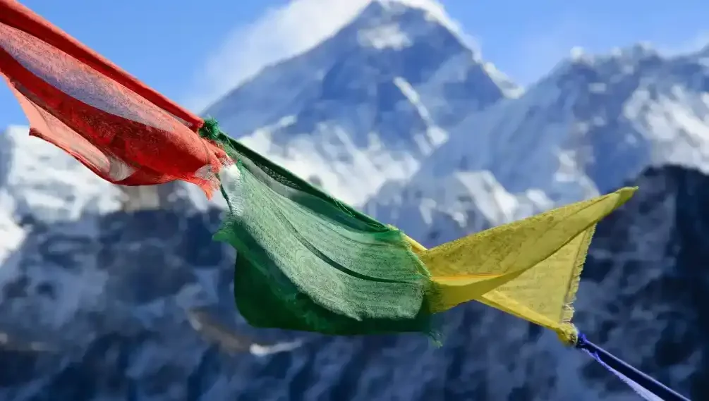 kFFnPGcnsbVQevfyd1xS7NoMy2UEie2z2Y1L4SHn