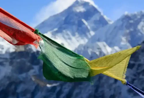 IY6LFukhzy3FN5f5t4eme28l0dUjnfRdwukrMDO2