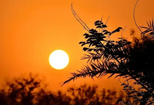 tunMjszHFduMgIX4OuXPW5Qu4C1AxyHsAHxXXUXW