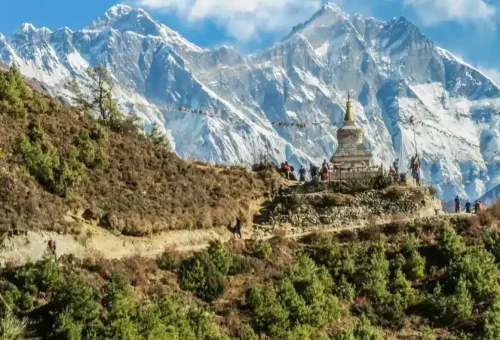 UoAFTpxa7efj3LrZNauFsIMrsRSpzsW8XUrfIsX6