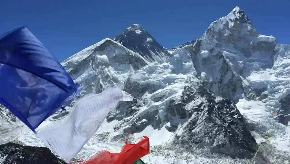 yPepggZH3AXufIQ82FMUEGSC43RCl9zoadtVeuAM (1)