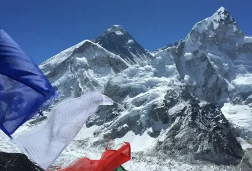 2Kfx5q5hMHFA3nohWUuVuoPhuFR7vS09SZkFDMgY