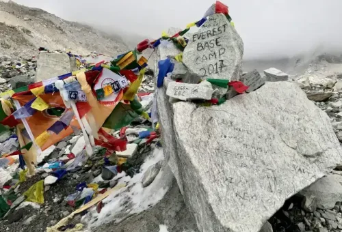 xUevJ55jqz0jEEJpQTXHPQepJKvkFQr5iEzRuBFQ