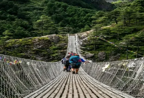 lTUa3Elmv32ydkB05YjJN7fAzJw7o8G4KCBB9H0L