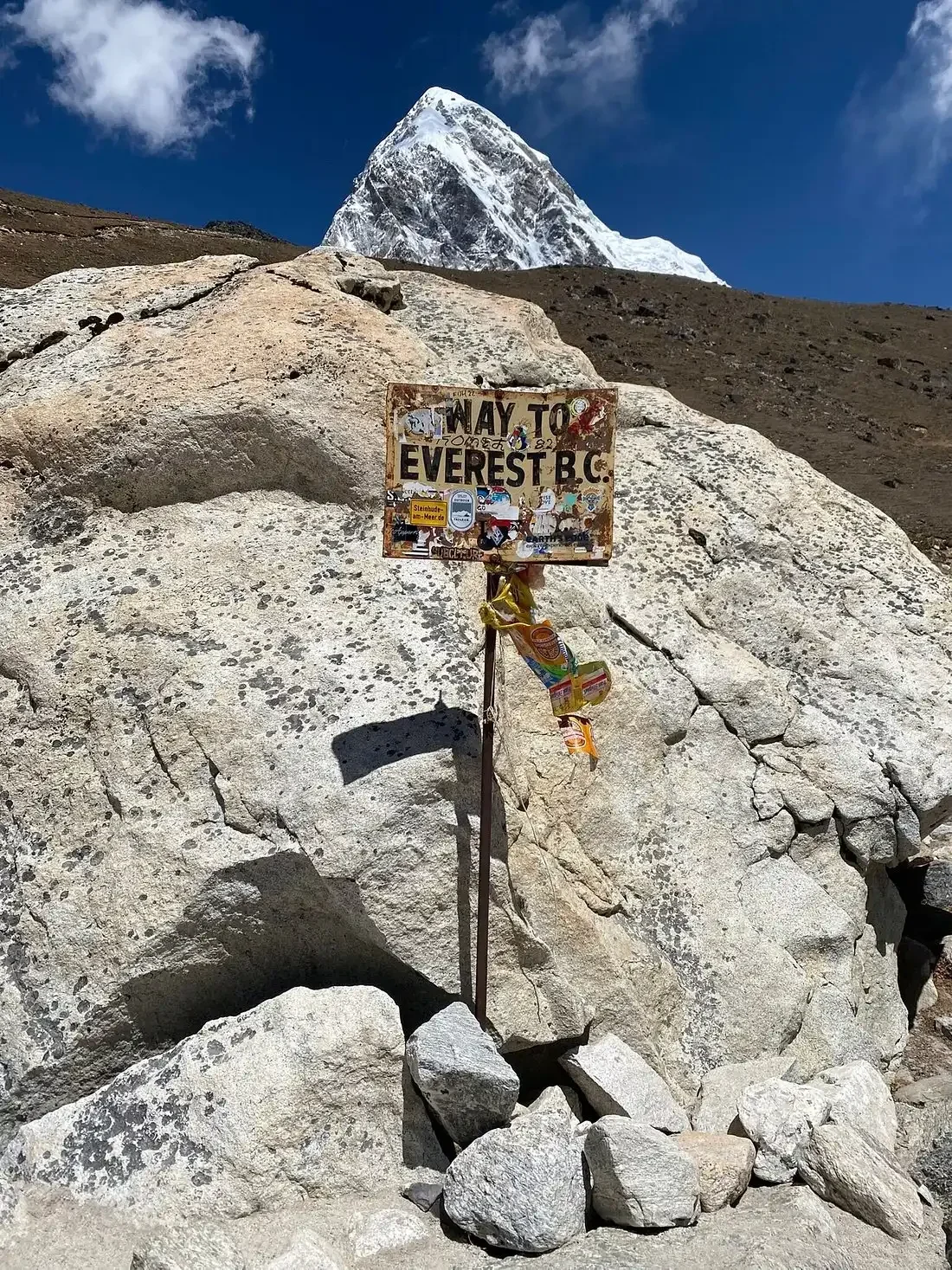 web_1771412405_412435_9337_85_1100x1467