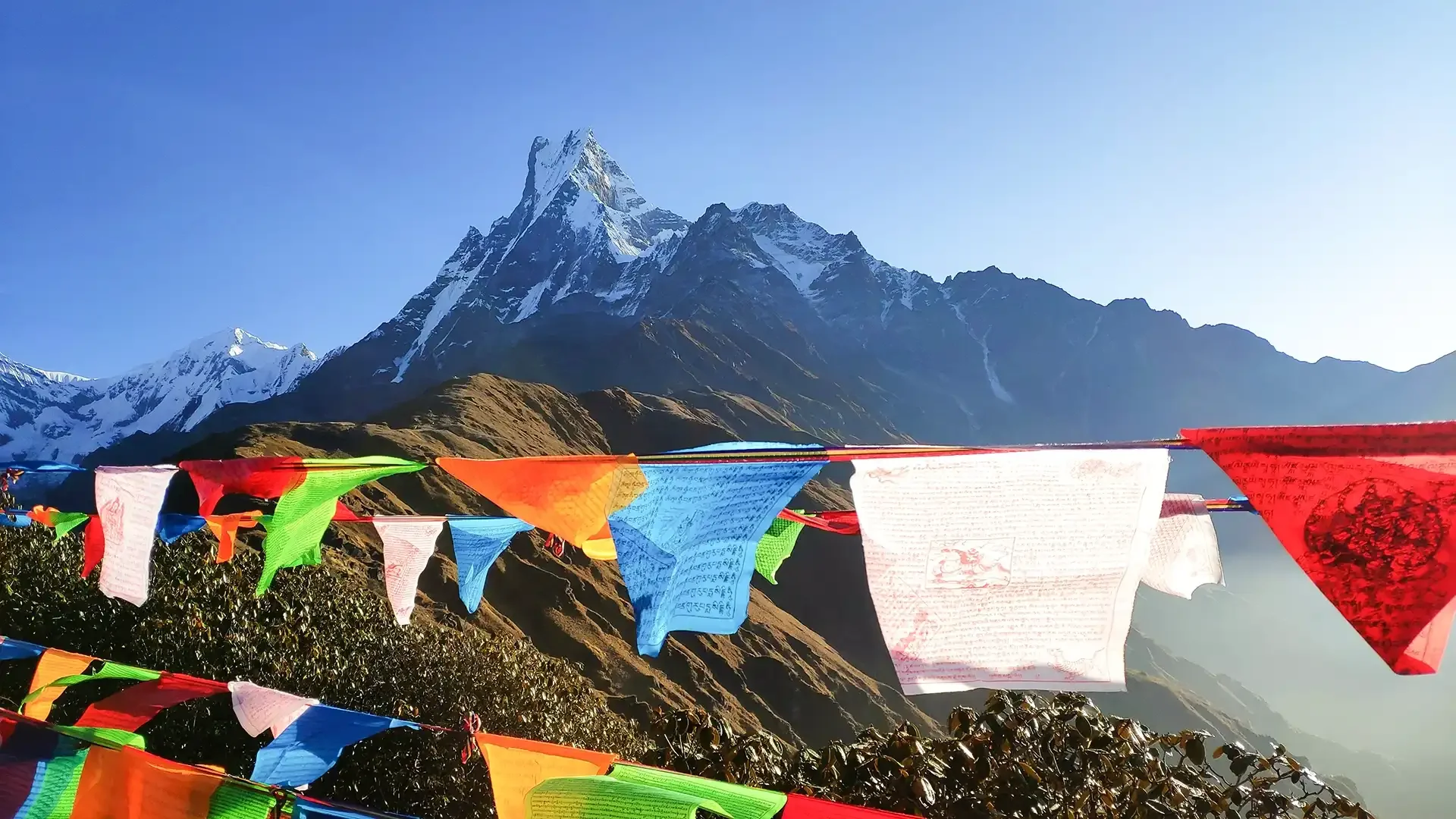 mardi-himal-trekking