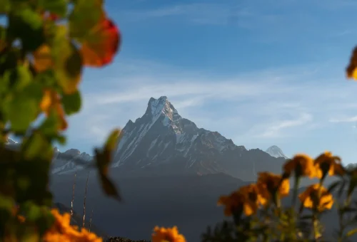ghorepani-poonhill-ghandruk-trek