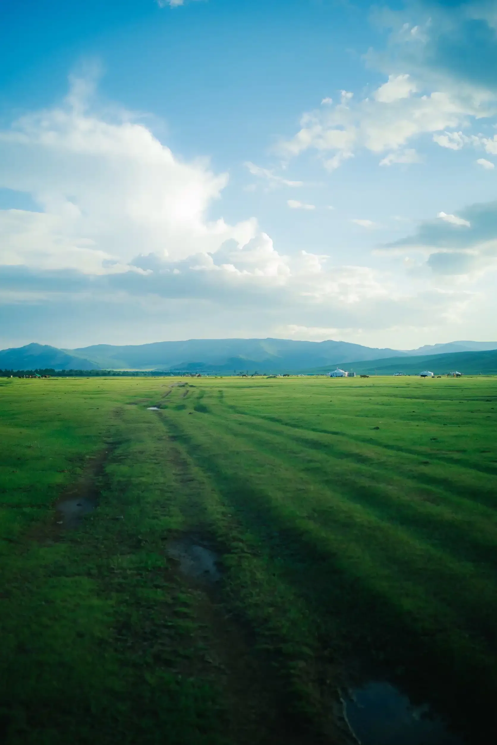 LINE_ALBUM_📷_250910_3