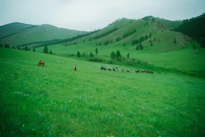 LINE_ALBUM_📷_250910_46