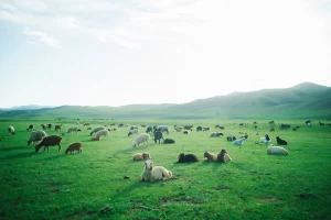 LINE_ALBUM_📷_250910_32