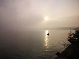 3051F9A7-D1A5-452E-87D5-C6F9C692E700