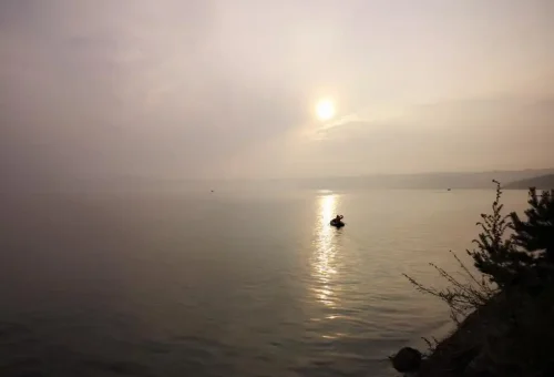 3051F9A7 D1A5 452E 87D5 C6F9C692E700