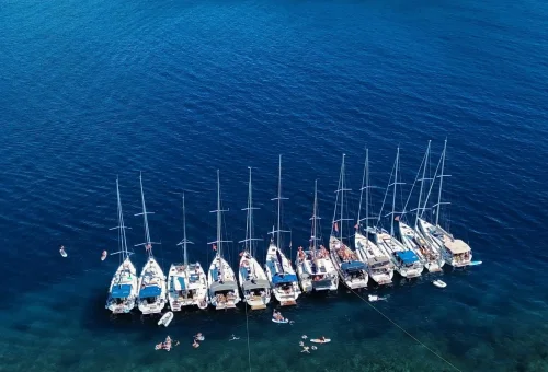 dji_fly_20250831_135736_131_1756641538776_photo_optimized