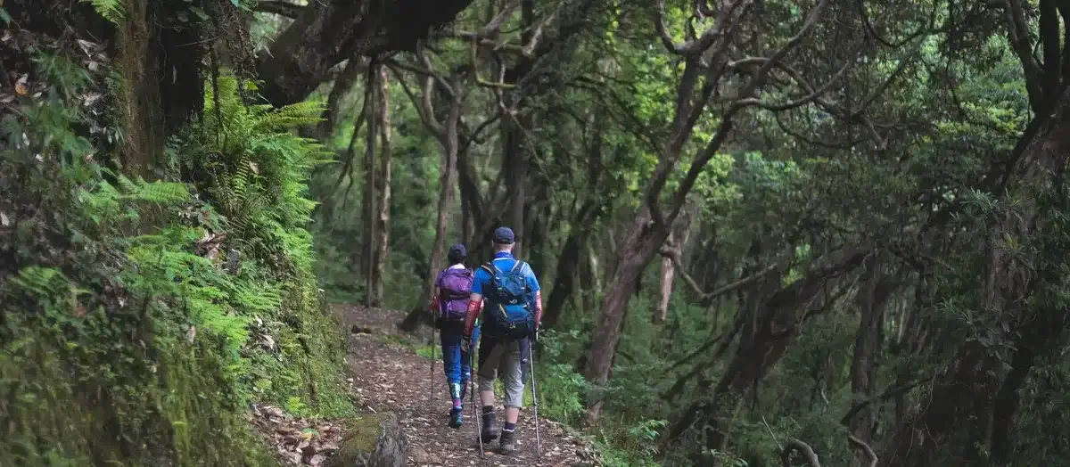Sustain Tourism To Improve Ecomony