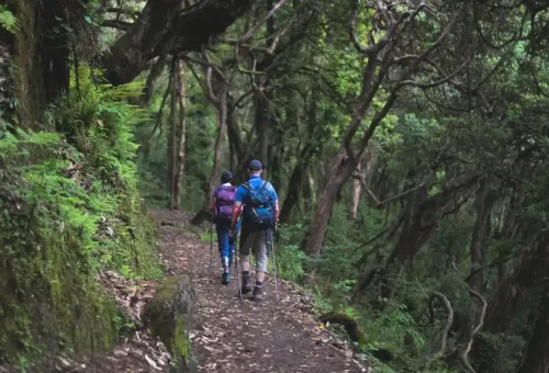 Tilmans Pass Trek