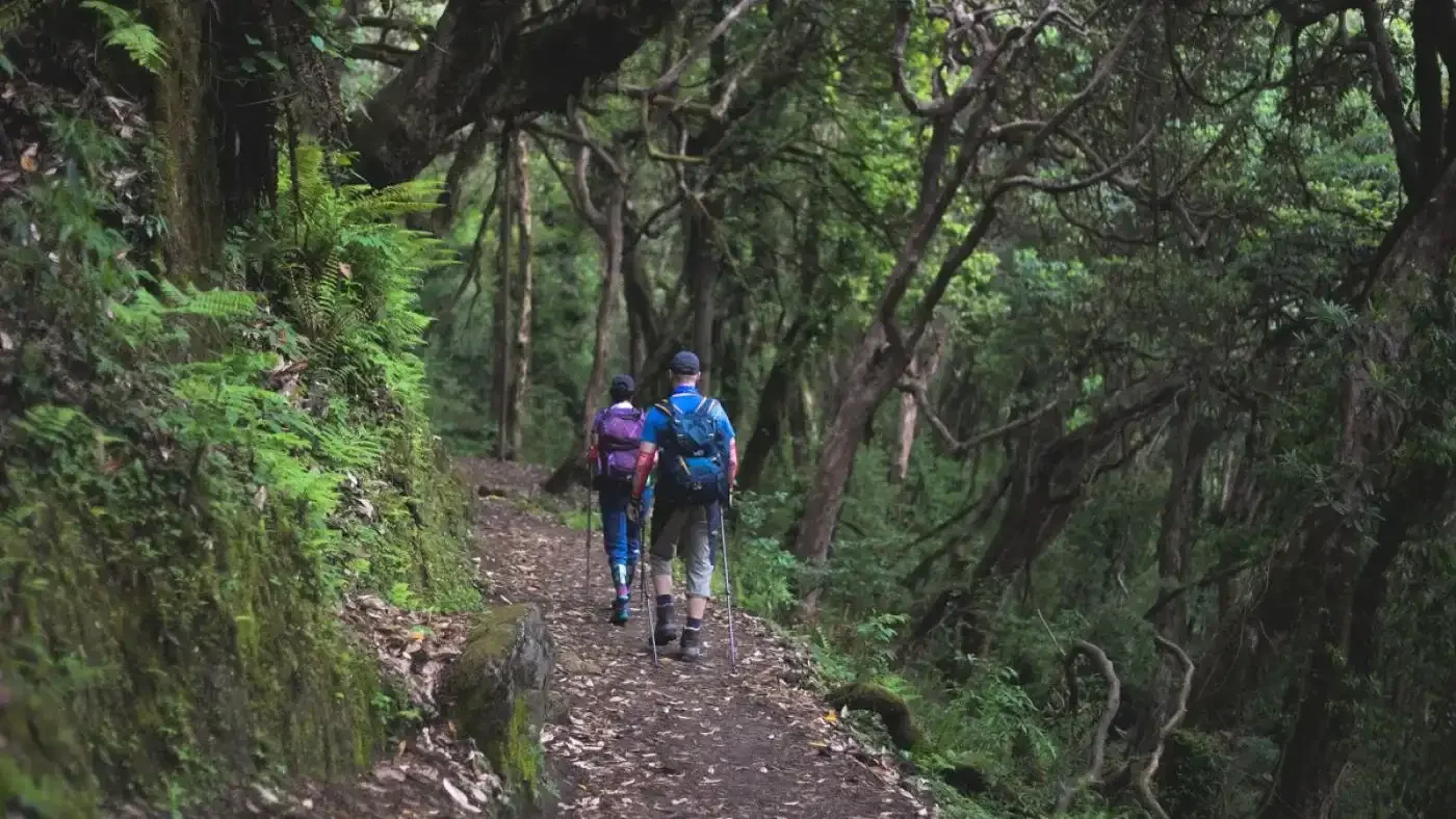 Tilmans Pass Trek