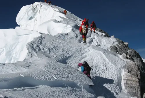 Expedition
