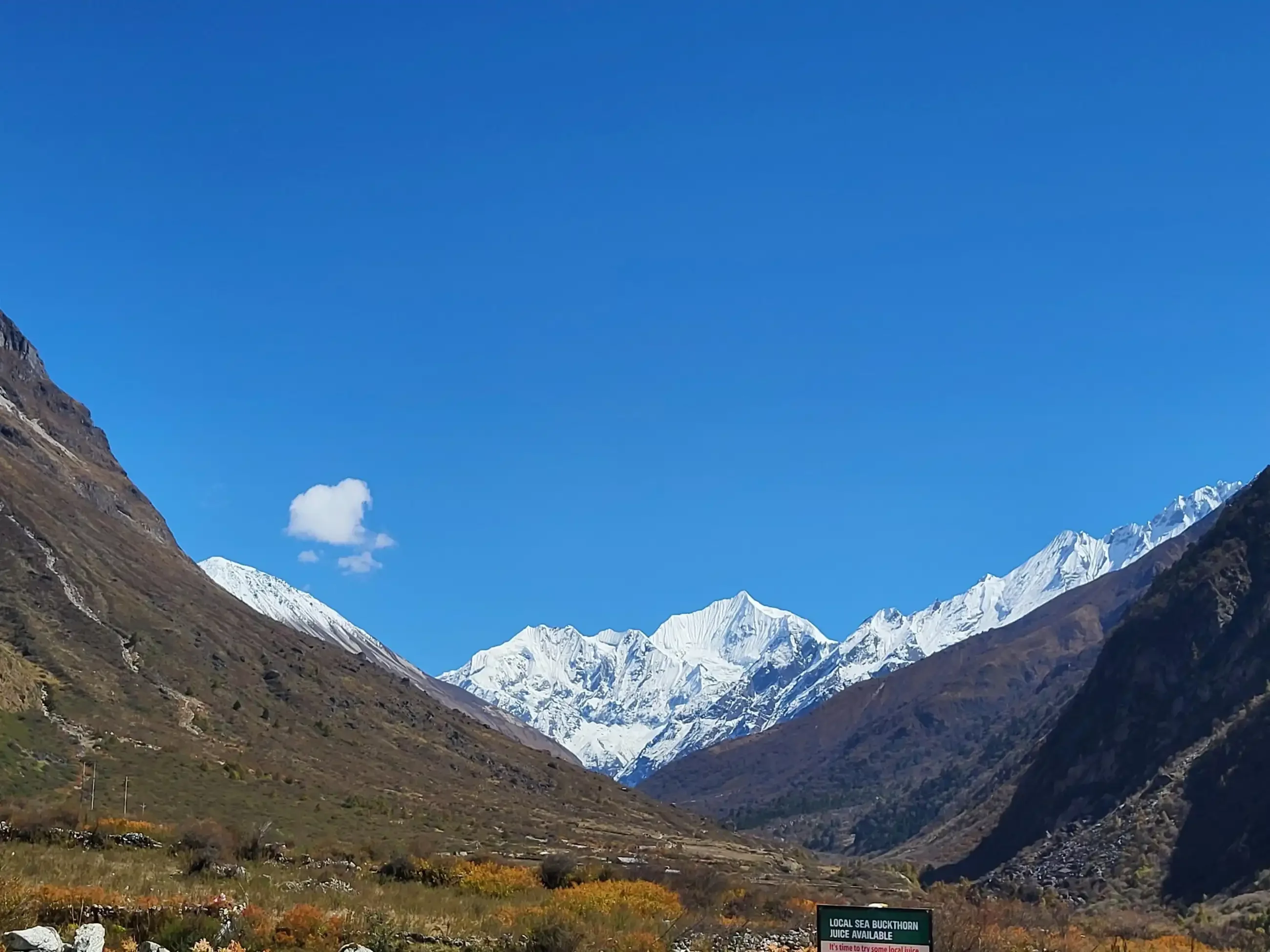 Langtang 1