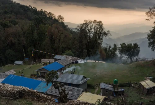 Evening view of Forest Camp