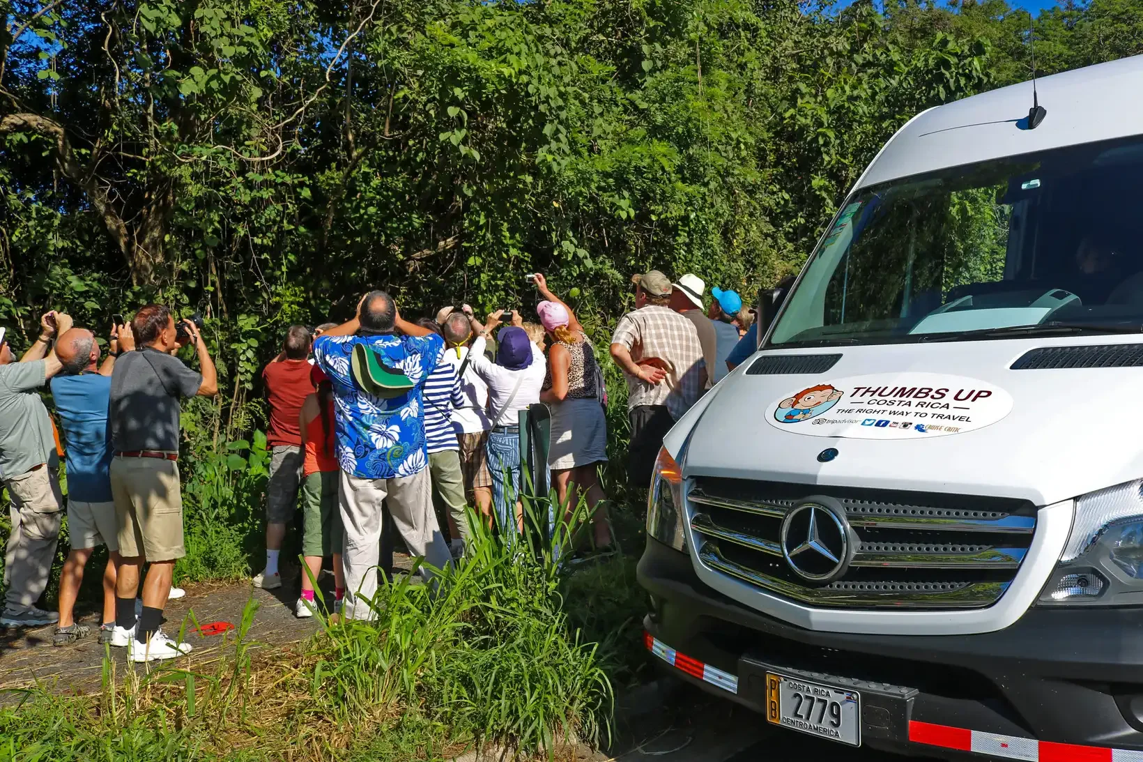 Large IMG_6498 1703972856941