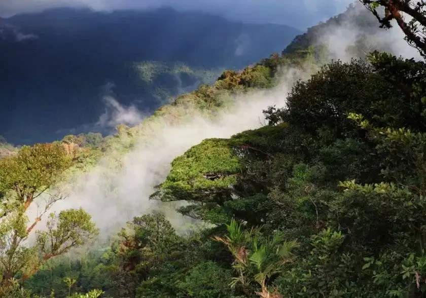 monteverde thumbs up