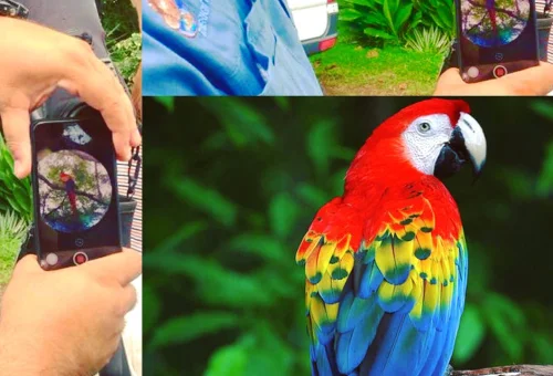 69832244_1350248898466129_7194063305902653440_n