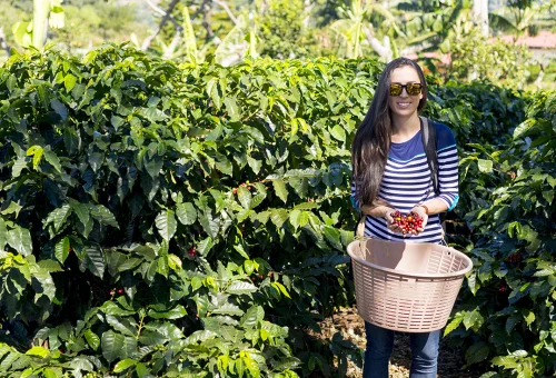 Doka-Coffee-Tour-A-12-jpg