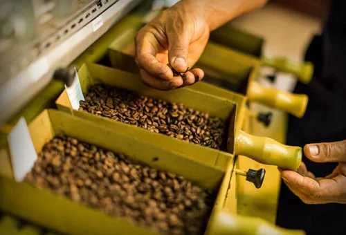 costa-rican-coffee-journey08