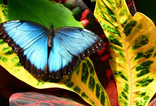 2000x2000-0-70-4857f55ebc3fc286612cf6d6098a4515