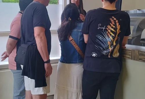 FOTO PRESENTACION 13