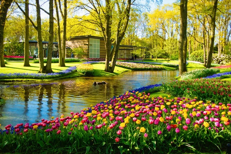 Keukenhof