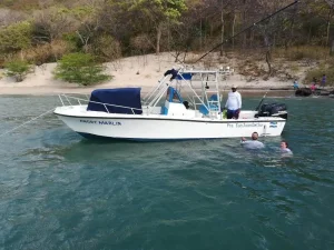 91a72a21 22db 4e5f B9e1 92d5d444c948