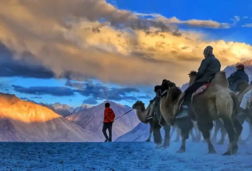 Nubra-Valley-ladakh