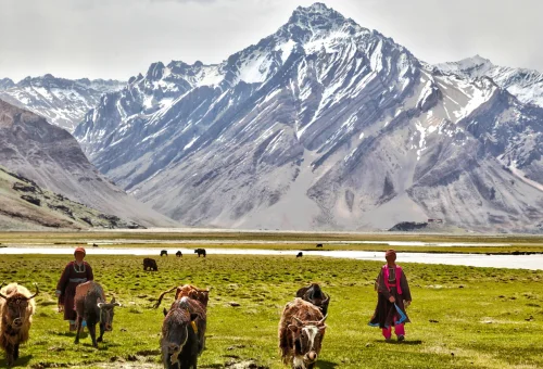 zanskar