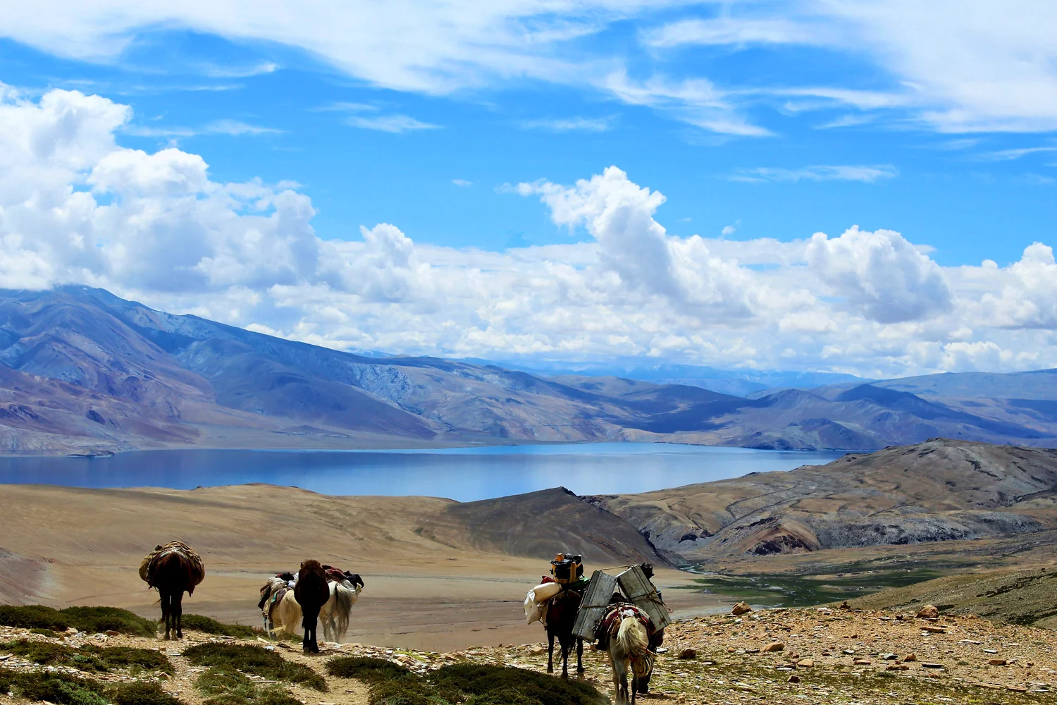 Pangong Lake