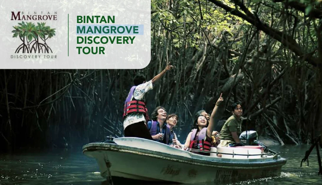 Bintan Mangrove Discovery Tour