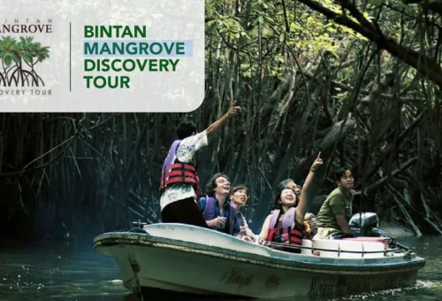 Bintan Mangrove Discovery Tour