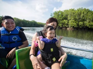 Bintan Mangrove 22 768x576