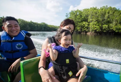 bintan-mangrove-22-768x576