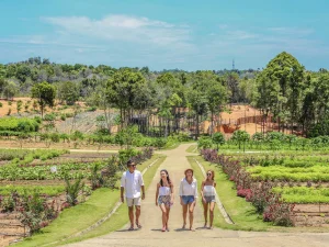 Safari Lagoi Eco Farm With Friends