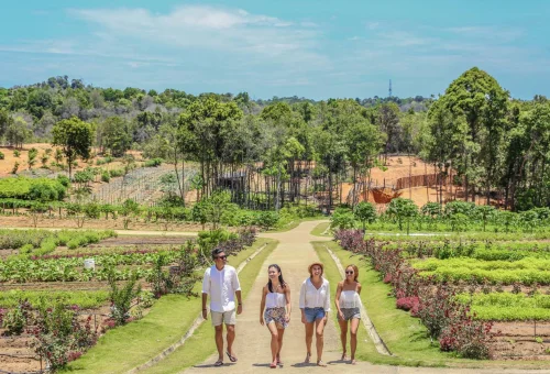 Safari-Lagoi-Eco-Farm-with-friends