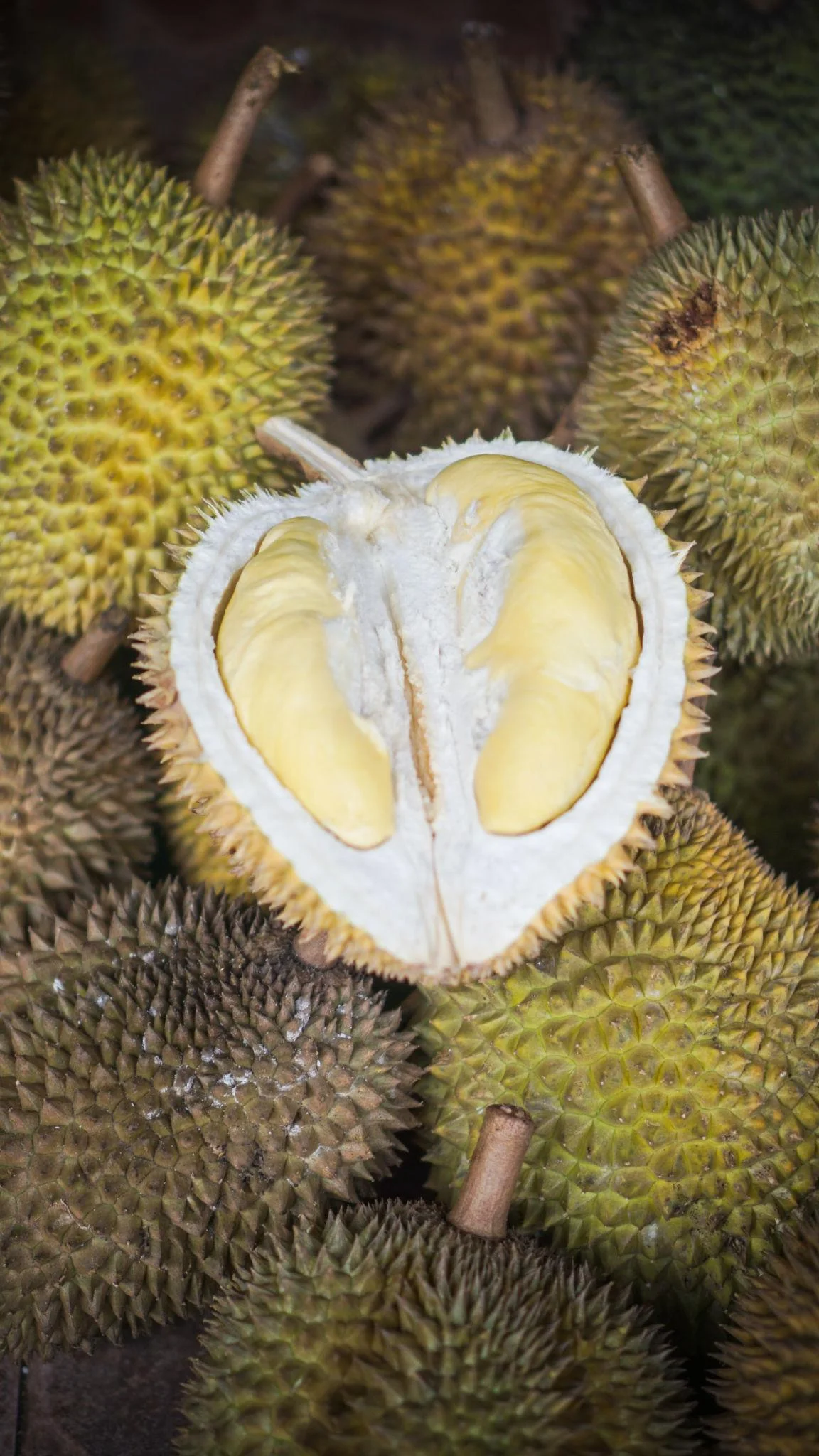 durian