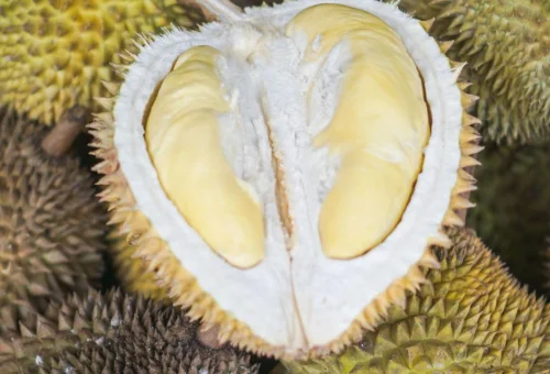 durian