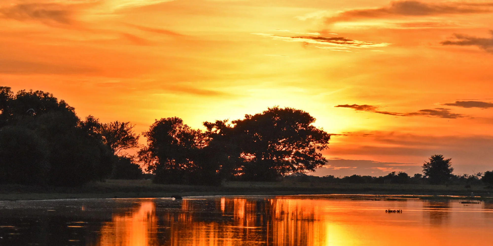 colombia-tours-los-llanos-2