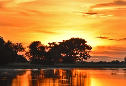 colombia-tours-los-llanos-2