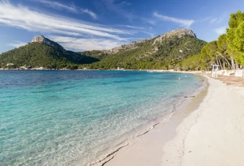 playa-formentor-pollensa-yosoymallorca-pkuyx0pm19jyxbewqwbmozejorfe7k5837miz5w3w8